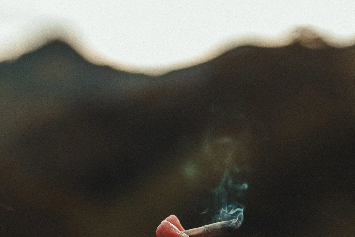 Cannabis smoke — the terpene odor we remove from condos and rentals